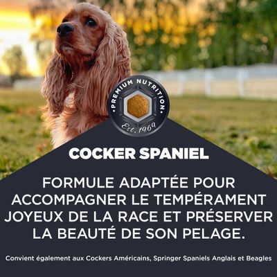 Cocker Spaniel. Nutrition Premium depuis 1969. Formule adaptée aux races énergiques et pour une belle fourrure. Convient également aux Cocker américains, Springer Spaniels et Beagles.