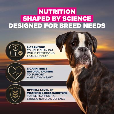 Eukanuba Adult Breed Care Specific Boxer