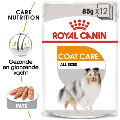Royal Canin Coat Care All Sizes natvoer voor honden, 85g x12. Paté. Tekst: Gezonde en glanzende vacht. Afbeelding van een hond met lange vacht. Royal Canin Coat Care All Sizes natvoer voor honden, 85g x12. Paté. Tekst: Gezonde en glanzende vacht. Afbeelding van een hond met lange vacht.