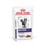 Royal Canin Feline Expert Neutered Balance umido gatto 12 x 85 g