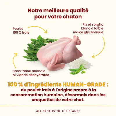 Almo Nature HFC Kitten poulet - 1,2 kg