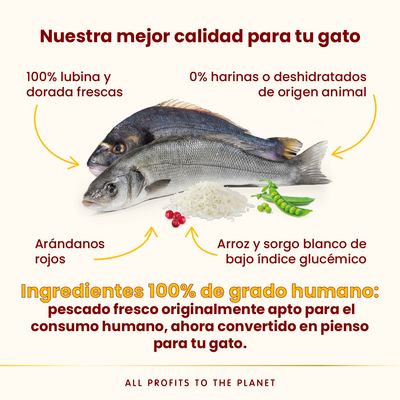Almo Nature HFC Longevity Sterilized lubina y dorada - 1,2 kg