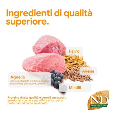Componenti: carne di agnello, farro, avena, mirtilli. Proteine di alta qualità e cereali antichi per un pasto equilibrato. N&D Ancestral Grain.