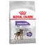 Royal Canin Mini Sterilised Crocchette per cane 3 kg