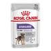 Royal Canin Sterilised Paté umido per cani Set %: 24 x 85 g