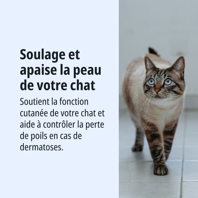 Virbac Veterinary HPM Cat Dermato D1 - lot % : 2 x 3 kg 