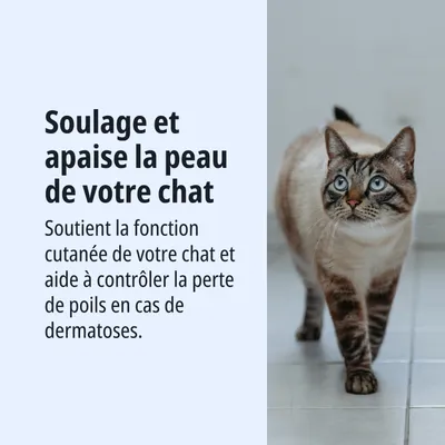 Apaise et calme la peau de votre chat. Soutient la fonction cutanée et aide à contrôler la perte de poils en cas de dermatoses.