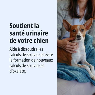 Soutient la santé urinaire de votre chien, aide à dissoudre les calculs de struvite et prévient la formation de nouveaux calculs de struvite et d’oxalate.