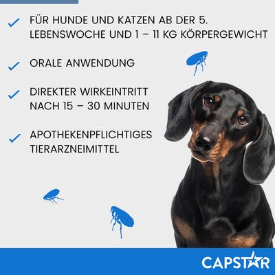 Capstar. Für Hunde und Katzen ab der 5. Lebenswoche, 1–11 kg Körpergewicht. Orale Anwendung. Direkter Wirkeintritt nach 15–30 Minuten. Apothekenpflichtiges Tierarzneimittel.
