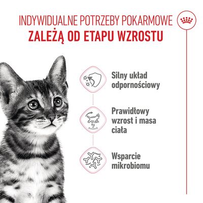 Grafika z kotem i polskim tekstem: Silny układ odpornościowy, Prawidłowy wzrost i masa ciała, Wsparcie mikrobiomu. Temat: Potrzeby żywieniowe w zależności od fazy wzrostu.
