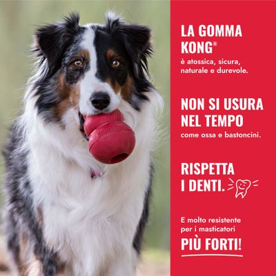 Cane con un giocattolo KONG rosso in bocca. Testo: La gomma KONG è atossica, sicura, naturale, durevole, non si consuma, protegge i denti, molto resistente per i masticatori più forti.