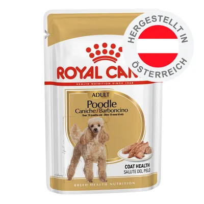 ROYAL CANIN Adult Poodle Caniche/Barboncino, Coat Health, hergestellt in Österreich, Abbildung eines Pudels und Nassfutterstücken auf der Verpackung.