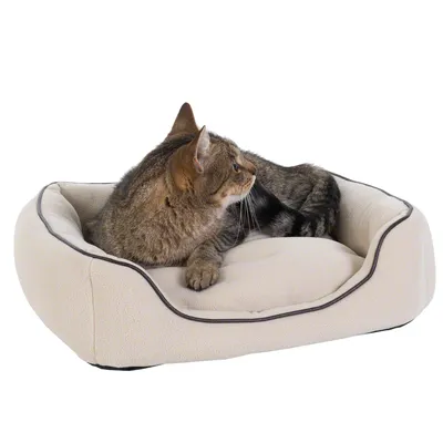 Brown tabby cat lying in a beige, padded pet bed with dark edging.