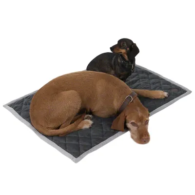 Deux chiens de tailles différentes allongés sur un tapis matelassé gris à bordure claire, surface en tissu visible. Aucun texte ou marque apparente.