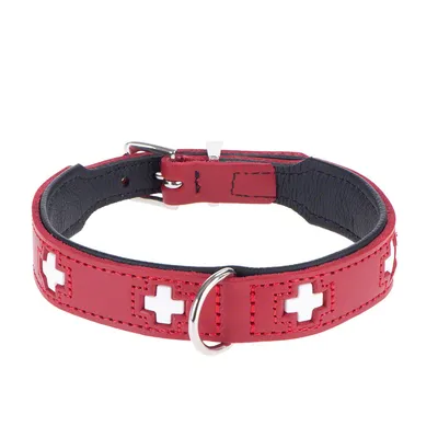 Hunter Swiss Περιλαίμιο Σκύλων - Μέγ. 60: 47 - 54 cm περίμετρος λαιμού