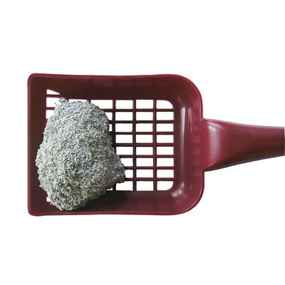Kattenbakschep van rood plastic met klont kattengrit op het rooster, geschikt voor het schoonmaken van de kattenbak.