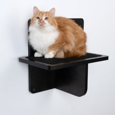 Chat roux et blanc assis sur une étagère murale noire pour chat, fixée au mur, avec surface de repos en tissu visible.