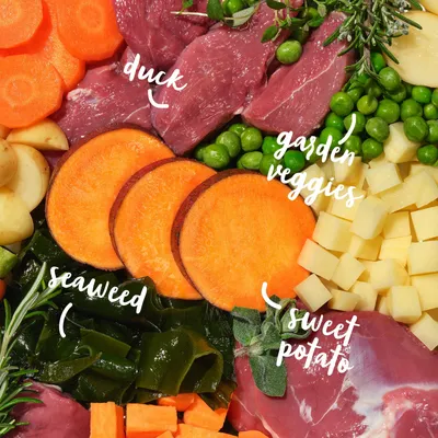Image showing labelled ingredients: duck, garden veggies, sweet potato and seaweed. Labels highlight visible food components for product ingredient transparency.