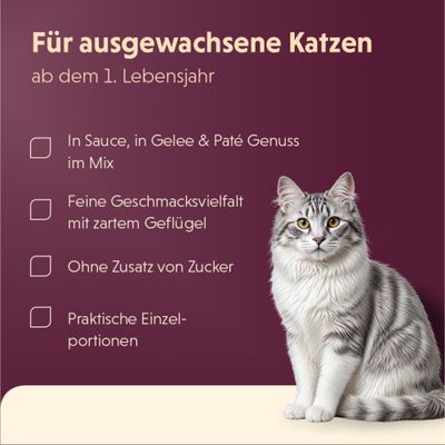 Für ausgewachsene Katzen ab dem 1. Lebensjahr: In Sauce, in Gelee & Paté Genuss im Mix, feine Geschmacksvielfalt mit zartem Geflügel, ohne Zusatz von Zucker, praktische Einzelportionen.