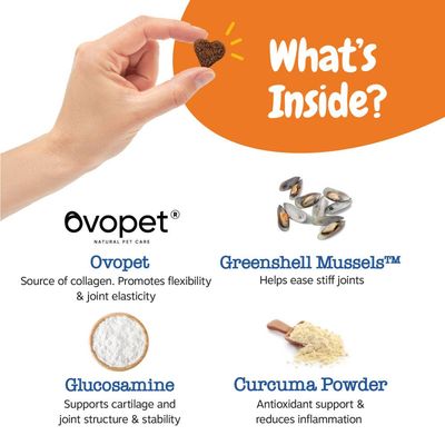 Product ingredients: Ovopet for collagen, Greenshell Mussels to ease stiff joints, Glucosamine for cartilage and joint support, Curcuma Powder for antioxidant support and reduced inflammation.