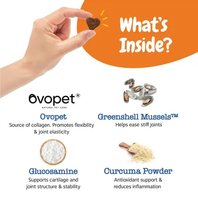 Product ingredients: Ovopet for collagen, Greenshell Mussels to ease stiff joints, Glucosamine for cartilage and joint support, Curcuma Powder for antioxidant support and reduced inflammation.