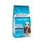 Arden Grange Daily Puppy with Fresh Chicken & Rice Economy Pack: 2 x 12kg