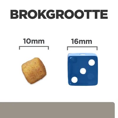 Brokgrootte: links een brok van 10 mm, rechts een blauwe dobbelsteen van 16 mm ter vergelijking.