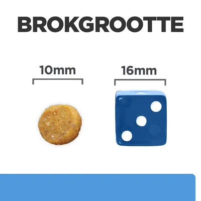 Brokgrootte: afbeelding van een brok van 10 mm naast een dobbelsteen van 16 mm ter vergelijking.