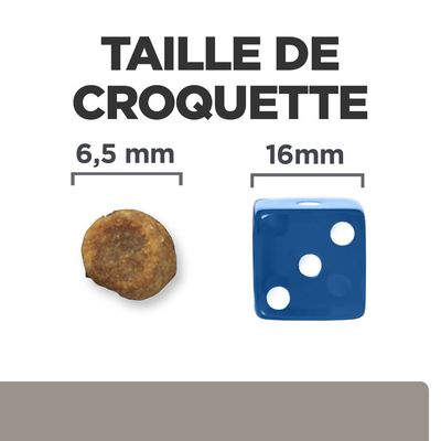Taille de croquette : 6,5 mm à côté d’un dé bleu de 16 mm pour comparaison visuelle. Texte visible : TAILLE DE CROQUETTE, 6,5 mm, 16 mm.