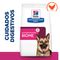 Hill's Prescription Diet Gastrointestinal Biome ração para cães 6 kg
