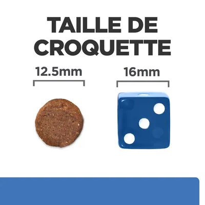 Taille de croquette : comparaison visuelle entre une croquette ronde de 12,5 mm et un dé bleu de 16 mm.