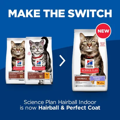 Hill's Science Plan Hairball Indoor преминава към Hairball & Perfect Coat. Изображение на стара и нова опаковка с котка, надпис NEW.