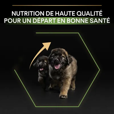 NUTRITION DE HAUTE QUALITÉ POUR UN DÉPART EN BONNE SANTÉ