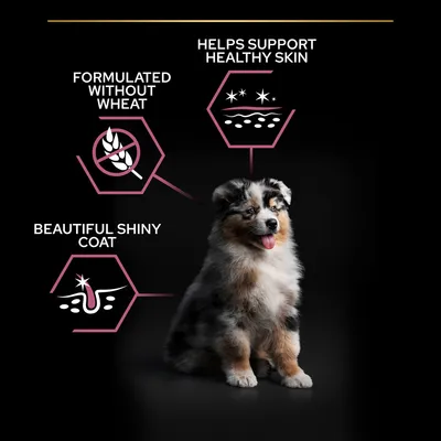 Text på engelska: Formulated without wheat, Helps support healthy skin, Beautiful shiny coat. Illustrationer och en valp synliga.