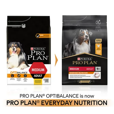 Packaging change from PRO PLAN OptiBalance Medium Adult to PRO PLAN Everyday Nutrition Medium Adult 1+, highlighting high protein and chicken as the number one ingredient.