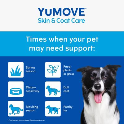 Times when your pet may need support: spring season, food plants or grass, dietary sensitivity, dull coat, moulting season, patchy fur. Consult your vet if concerned.