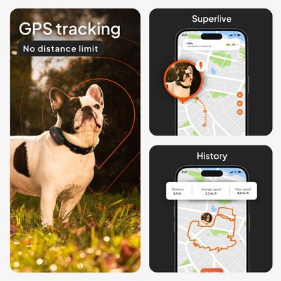 Weenect GPS-tracker XS for hunder - uten halsbånd