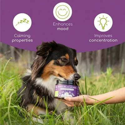 Wolfsbacher Natur Leckerli Calm & Relax Dog Snacks - dog supplements - 300g