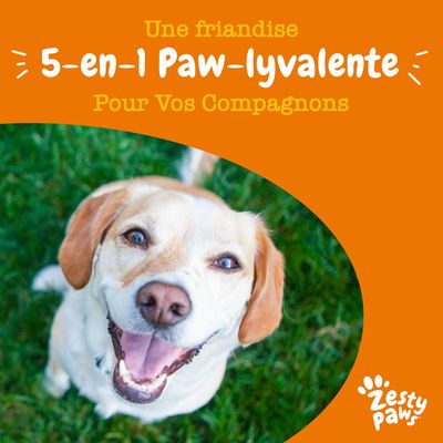 Une friandise 5-en-1 Paw-lyvalente pour vos compagnons. Zesty Paws.
