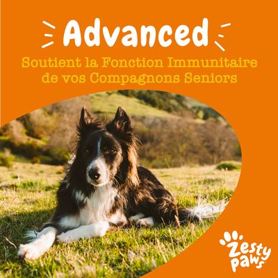 Advanced. Soutient la Fonction Immunitaire de vos Compagnons Seniors. Zesty Paws