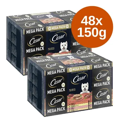 Cesar 24 Mega Pack kutyaeledel, 2 doboz, összesen 48×150 g. A csomagoláson fehér kutya képe és a terméknév látható.