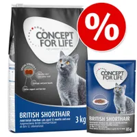 Concept for Life British Shorthair macskaeledel, 3 kg száraz és 85 g nedves változat, brit rövidszőrű fajtának. Látható akciójelzés: százalékos kedvezmény.