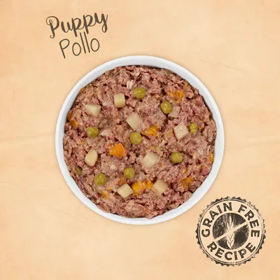 Ciotola di alimento umido per cuccioli con pezzi visibili di pollo, piselli e patate. Testo: Puppy Pollo. Timbro: Grain Free Recipe.