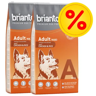 Två påsar Briantos Premium Dog Food Adult Maxi Juicy Chicken & Rice 14 kg, synlig text: Balanced Nutrition, High Tolerance, specialkroketter, brosk & leder, lättsmält. Procenttecken erbjudande.