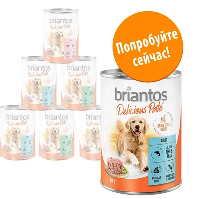 Консервы briantos Delicious Paté для взрослых собак, 400 г, рецепт без зерна, рыба и горох, без добавления сахара и искусственных ароматизаторов. Надпись: Попробуйте сейчас!