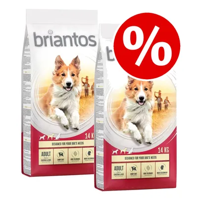 Two bags of briantos Adult Plus Chicken & Rice dog food, 14 kg each, with icons for shiny coat, high tolerance, made in Germany. Large red percent symbol indicating special offer.
