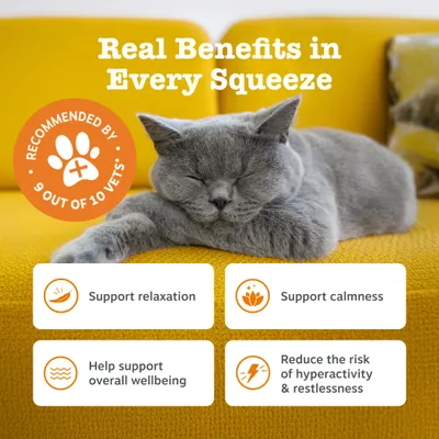 Zesty Paws Cat Calming paszta
