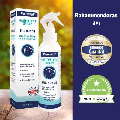 Canosept Hautpflege Spray für Hunde, synlig text: Regeneriert und pflegt die Haut bei Juckreiz, Ungezieferbefall, Reizungen und Entzündungen. Rekommenderas av Canosept Qualität och e-dogs.