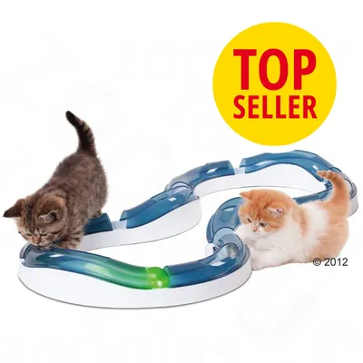 Dos gatitos junto a un circuito de juego interactivo de plástico blanco y azul con bola verde. Círculo amarillo con texto: TOP SELLER.