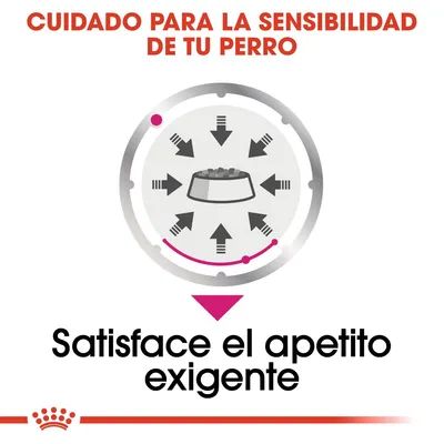Royal Canin Exigent Care Mousse - 24 x 85 g 